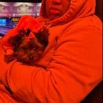 Nossog Rapper Link Copied! Share this page to let others request songs, leave tips ...
